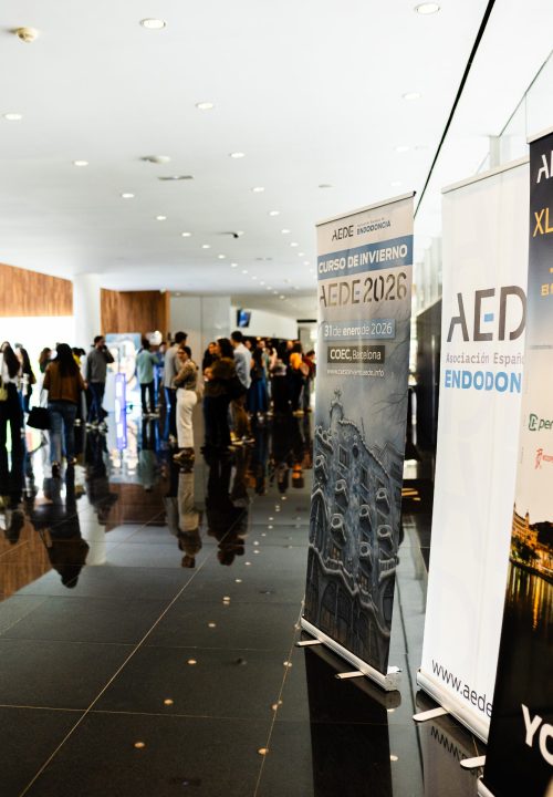 fotografia-congreso-convencion-aede2025-alicante-granada (11)