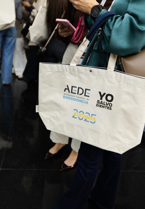 fotografia-congreso-convencion-aede2025-alicante-granada (2)